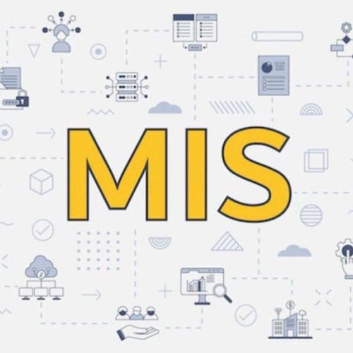 MIS Executive Remote Service