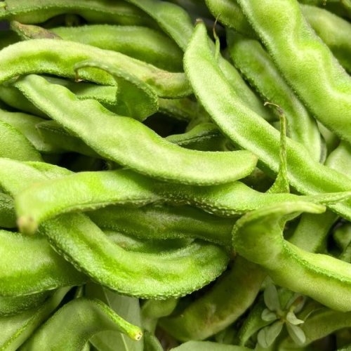 Fresh Green Hyacinth Beans