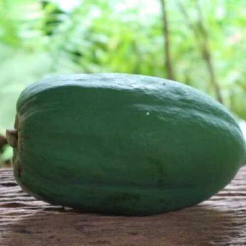 Fresh Green Papaya