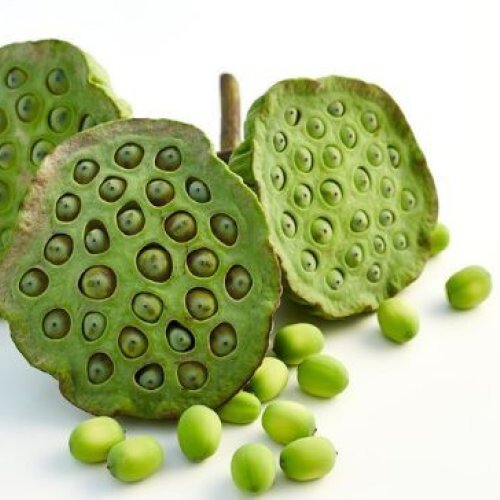 Lotus Seeds