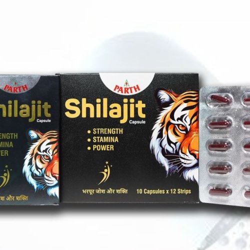 Parth Shilajit Capsule