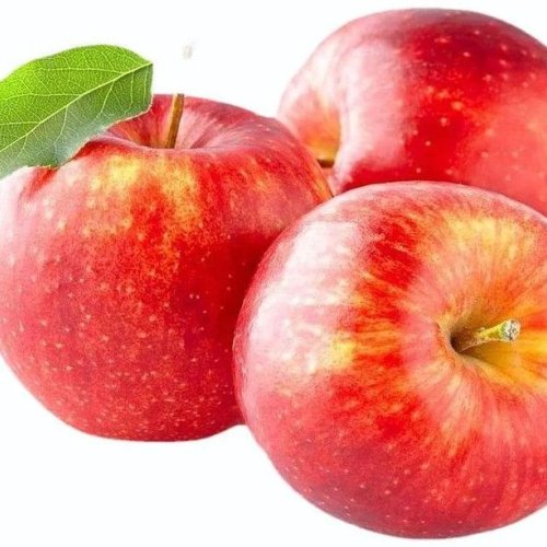 A Grade Fresh Apple