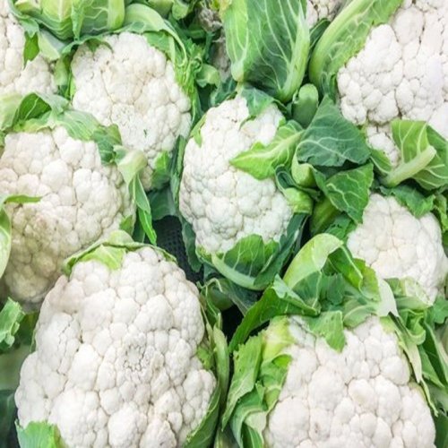 A Grade Fresh Cauliflower
