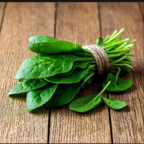 A Grade Fresh Spinach