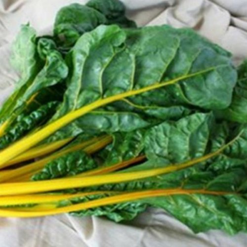 A Grade Green Organic Swiss Chard