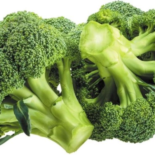 Fresh Green Broccoli