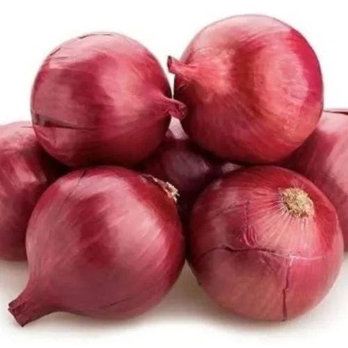 A Grade 25mm Red Onion