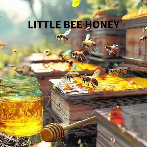 Little Bee Honey