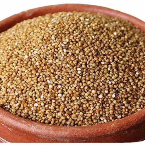 A Grade Barnyard Millet