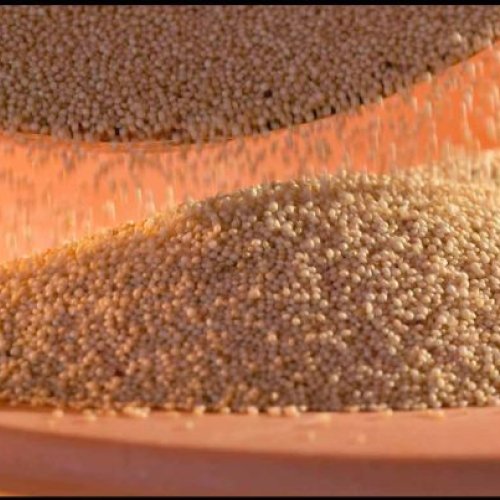 Amaranth Pseudo Grain
