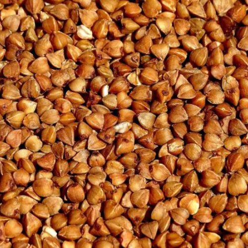 Brown A Grade Buckwheat Millet