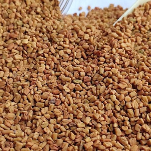 Dried Fenugreek Seed