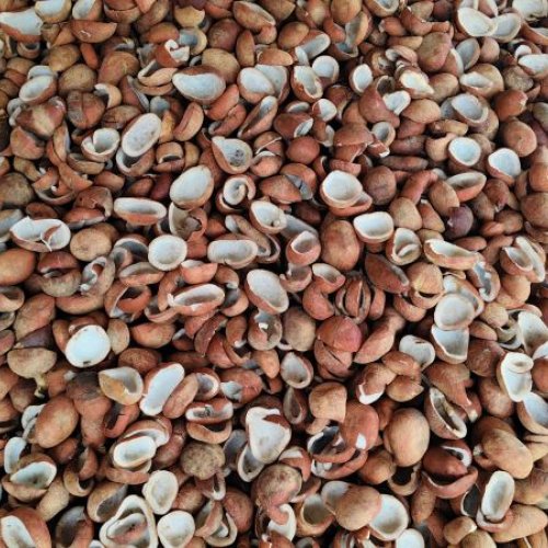 A Grade Coconut Copra for Oil