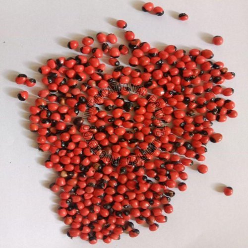 Abrus Seeds