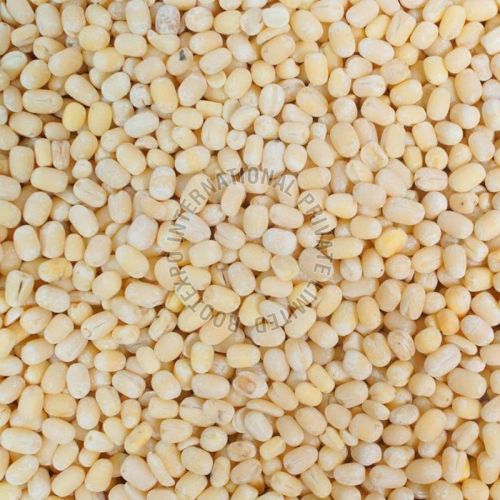 White Urad Dal