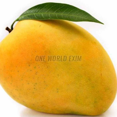 A Grade Fresh Alphonso Mangoes