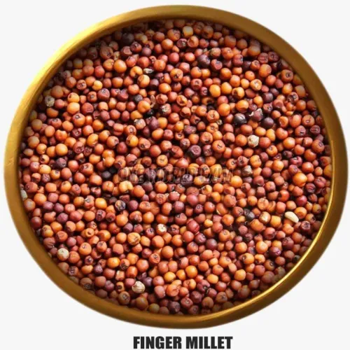 A Grade Red Finger Millet Seed