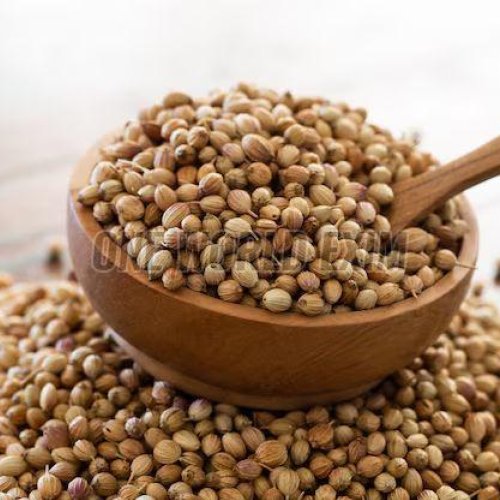 A Grade Whole Coriander Seed