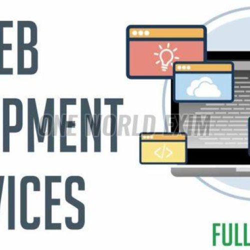 Business Web Development Service