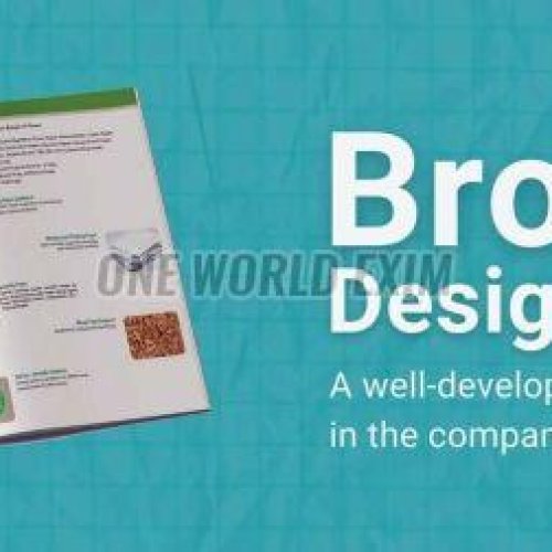 Creative Brochure Design Sevices