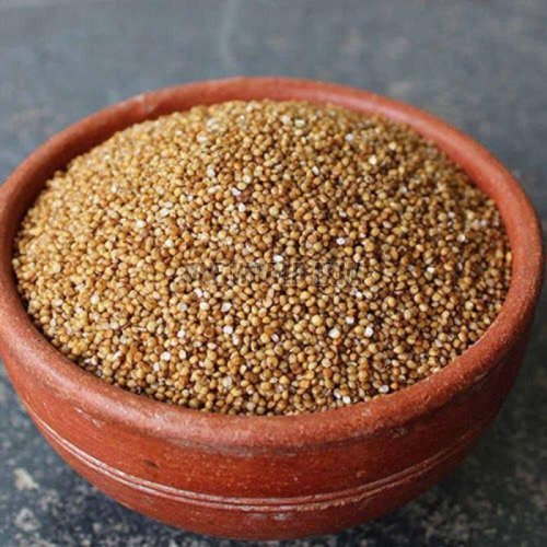Garden Kodo Millets