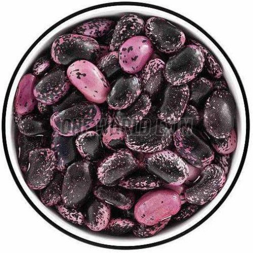 Scarlet Runner Bean