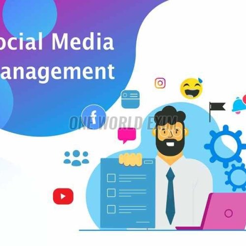 Social Media Management Service