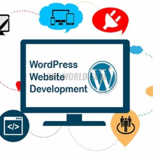 Wordpress Web Development Service
