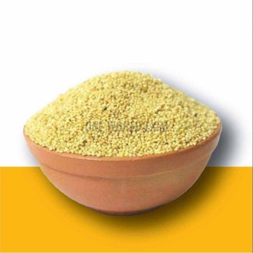 Yellow Foxtail Millet