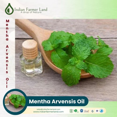 Mentha Arvensis Oil