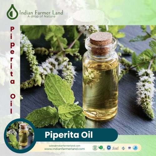Mentha Piperita Oil