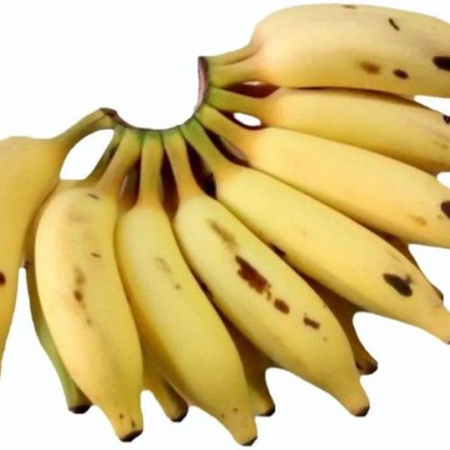 A Grade Matti Banana