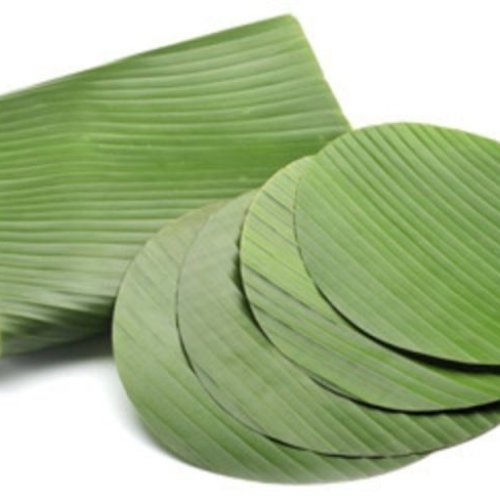 Fresh Banana Leaves