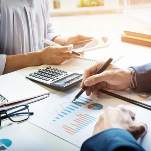 Financial Audit Support Services