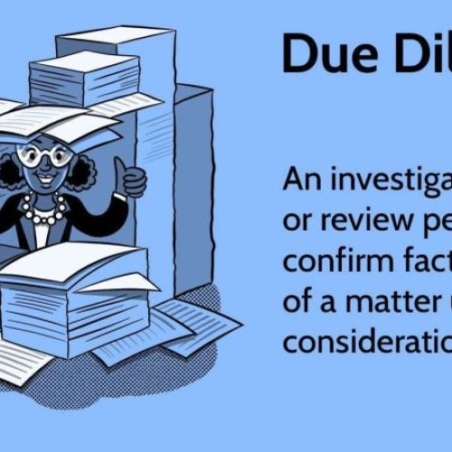 Investment Due Diligence Services