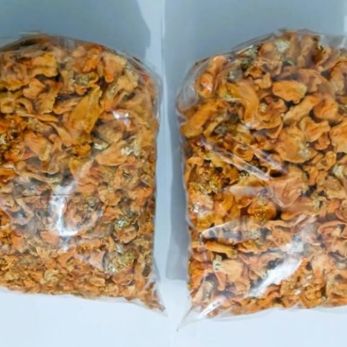 Dry Keedajadi Mushroom