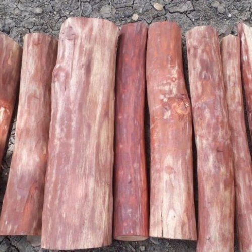 Round Red Sandalwood Logs