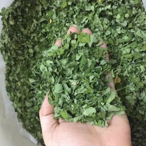 Dried Moringa Leaves