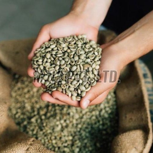 Dried Green Coffee Beans