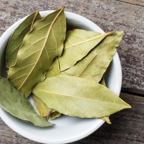 Dry Bay Leaf