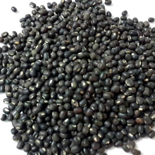 Indian Urad Dal