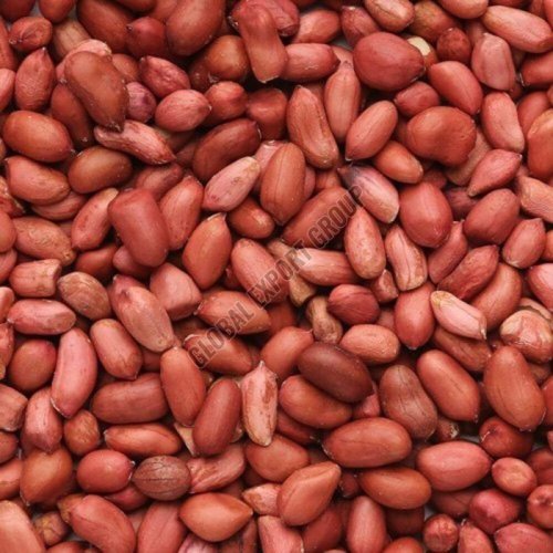 Peanut Seeds