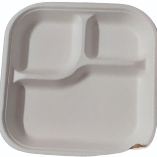 Sugarcane Bagasse Square Compartment Plate
