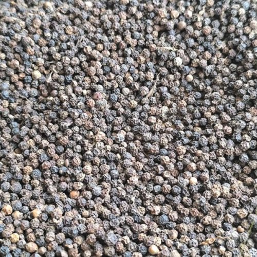 Black Pepper Seeds