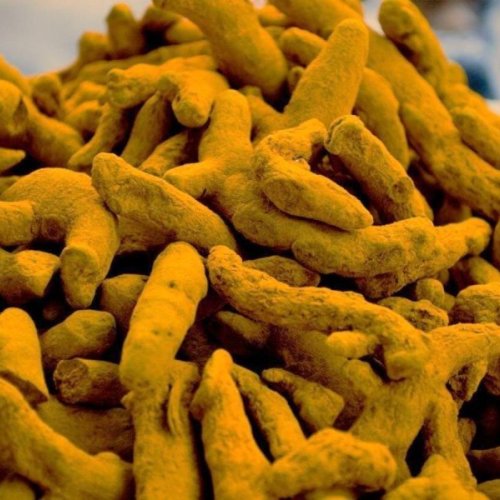 Deshwali Turmeric Finger