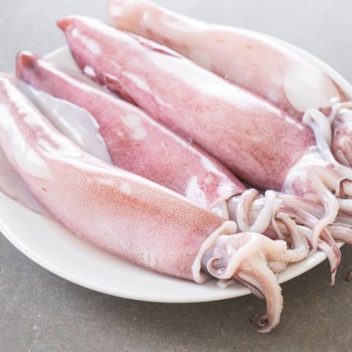 Clean Fresh Squid