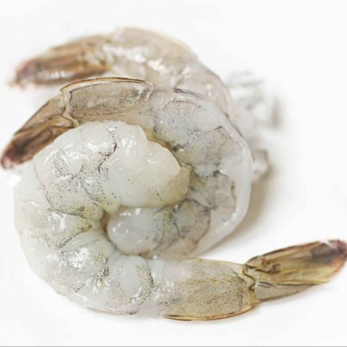 Fresh White Shrimp Prawns