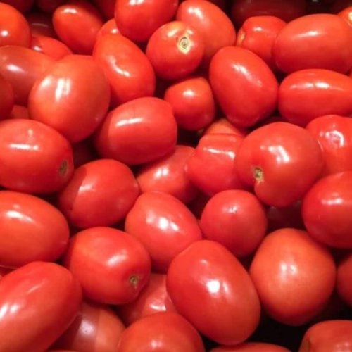 Fresh Red Tomato