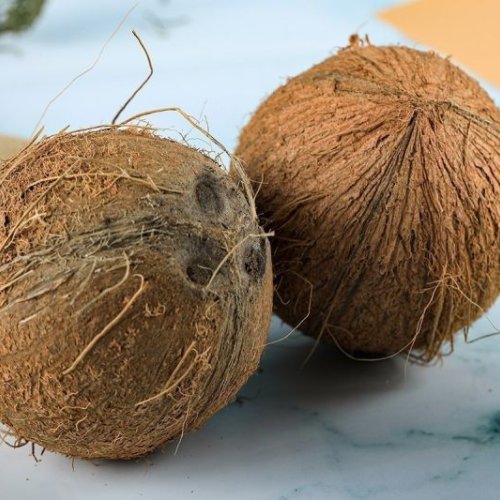 Semi Husked Coconut
