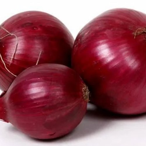 Fresh Red Onion
